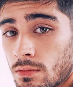 Cute British Singer Zayn Malik Paint By Numbers