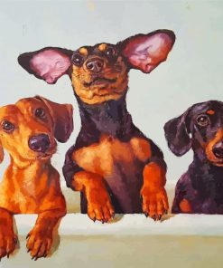 Dachshund Puppy Fun Paint By Numbers