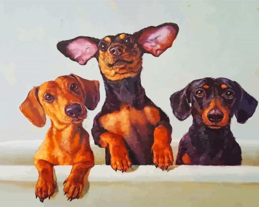 dachshunds-dogs-paint-by-numbers