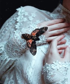 Moody Butterfly Aesthetic Paint By Numbers