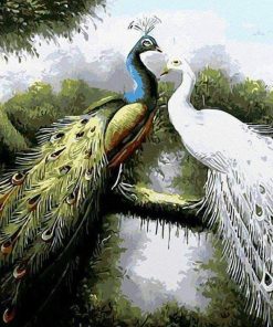 Peacock Bird Couple Paint By Numbers