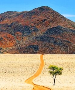 Desert Landscape Namibia Paint By Numbers