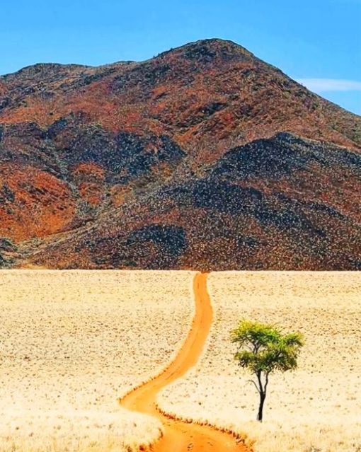 desert-of-namibia-paint-by-numbers