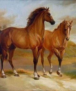 Horses at the Water Paint By Numbers