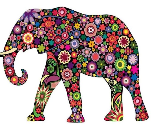 Floral Elephant Paint By Numbers