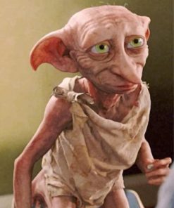 Dobby Magic World Paint By Numbers