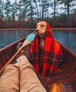 Dog on Lake Boat Paint By Numbers
