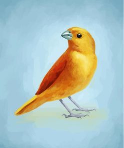 Domestic Canary Paint By Numbers