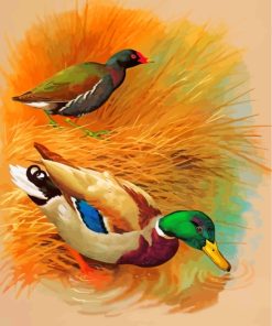 Romantic Ducks Love Paint By Numbers