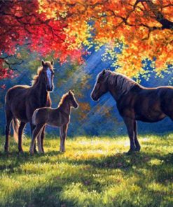 Horse Under Autumn Tree Paint By Numbers