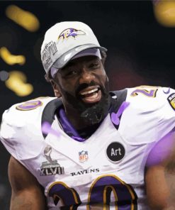 Ed Reed Football Legend Paint By Numbers