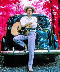 Elliott Landy Dylan Classic Paint By Numbers