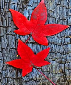 Maple Leaves Autumn Paint By Numbers