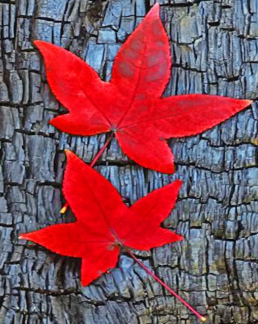 fall-leaves-paint-by-numbers