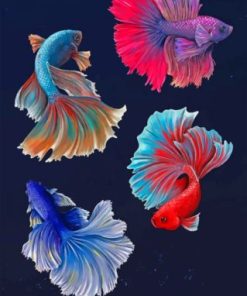 Betta Fish Tropical Paint By Numbers