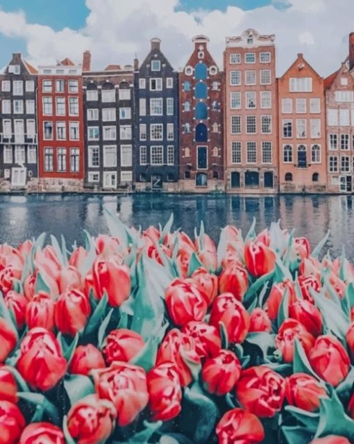 flowers-and-and-buildings-Amsterdam-paint-by-number