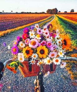Picturesque Bike Flower Scene Paint By Numbers
