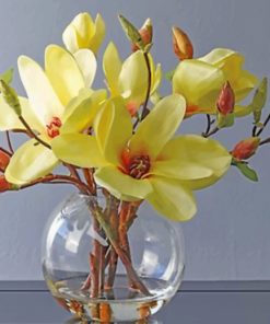 Southern Magnolia Floral Paint By Numbers