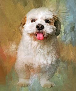 Fluffy Shih Tzu Dog Paint By Numbers