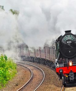 Colorful Flying Scotsman Train Paint By Numbers