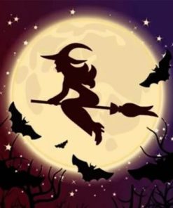 Moonlit Witch Flying Paint By Numbers