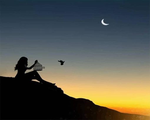 freedom-free-bird-girl-silhouette-paint-by-numbers