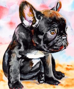 Black French Bulldog Puppy Paint By Numbers