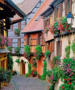Aesthetic French Flowers Paint By Numbers