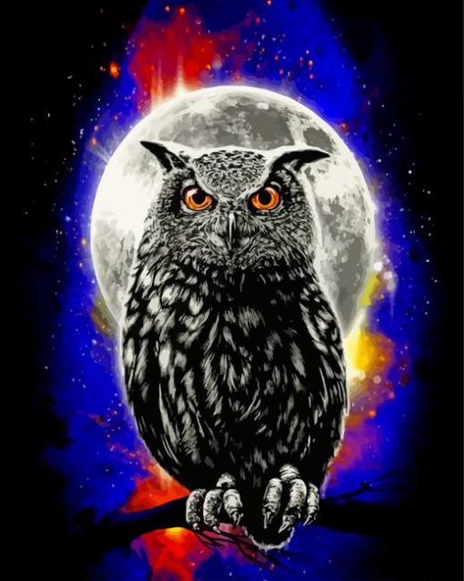galaxy-owl-paint-by-numbers