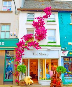 Galway Flower Streets Paint By Numbers