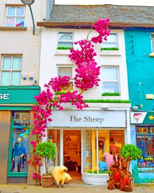 galway-paint-by-numbers