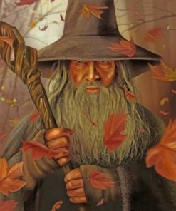 Gandalf Movie Series Paint By Numbers