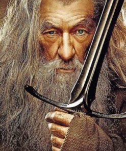 Gandalf Movie Magic Paint By Numbers
