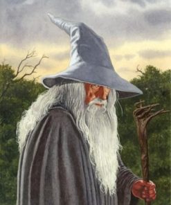Gandalf Movies Paint By Numbers