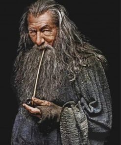 Gandalf Movie Series Paint By Numbers