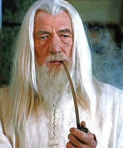 Gandalf Movie Scene Paint By Numbers