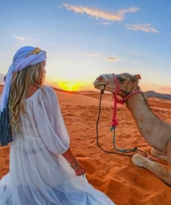 Girl and Camel Sahara Adventure Paint By Numbers