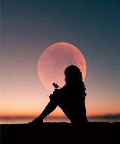 Bird Silhouette at Moonlight Paint By Numbers