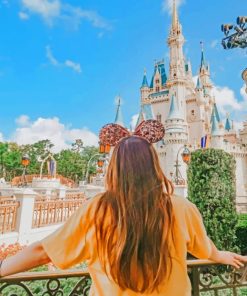 Aesthetic Disney Travel Paint By Numbers
