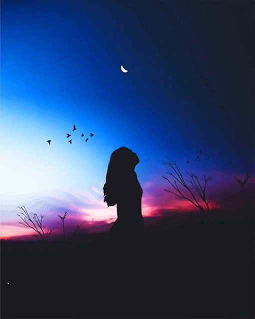 girl-silhouette-paintbynumbers