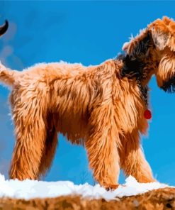 Golden Wheaten Dog Paint By Numbers