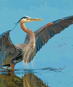 Blue Heron Wildlife Paint By Numbers