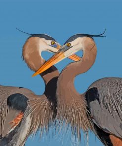 Majestic Heron Duo Paint By Numbers