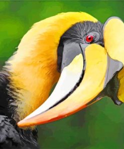 Majestic Hornbill Paint By Numbers