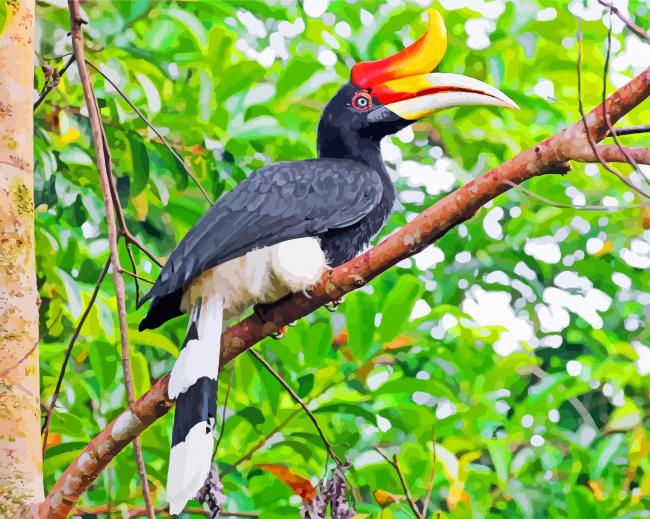 Finalizing Great Hornbill Bird Paint By Numbers Artwork