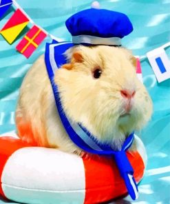 Guinea Pig Marine Paint By Numbers