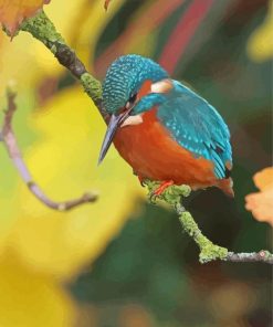 Halcyon Bird Paint By Numbers