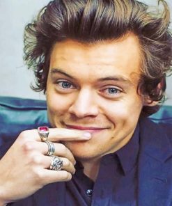 Harry Styles Singer Paint By Numbers
