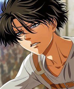 Levi Ackerman Anime Paint By Numbers
