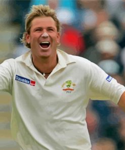 Shane Warne Cricket Legend Paint By Numbers